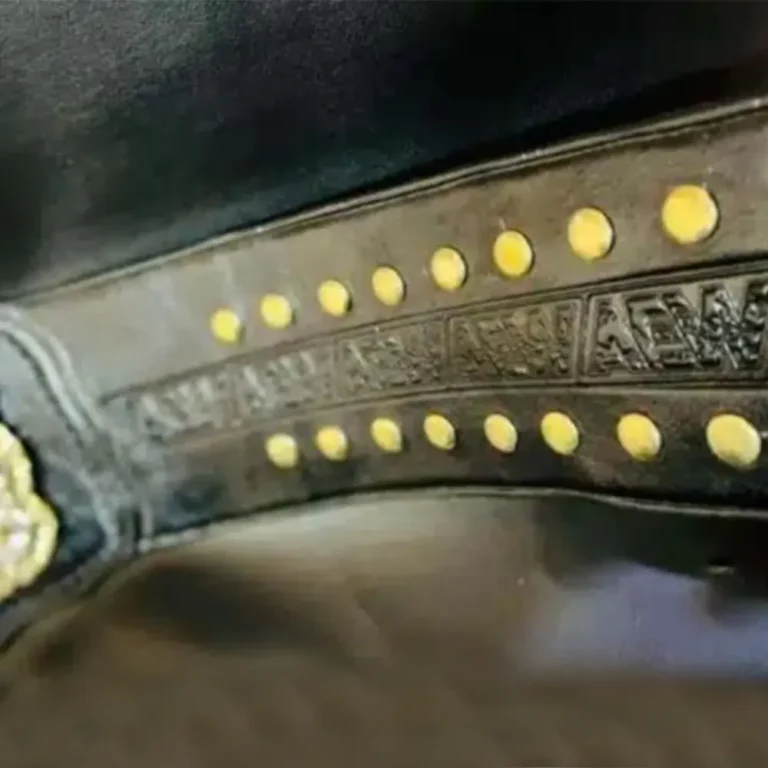 AEW CHAMPIONSHIP BELT