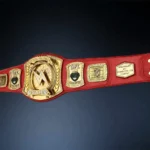 FANTASY FOOTBALL 24k Gold BELT SPINNER