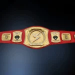 FANTASY FOOTBALL 24k Gold BELT SPINNER