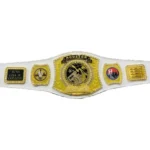 Houston Astros 24k Gold Spinner Belt