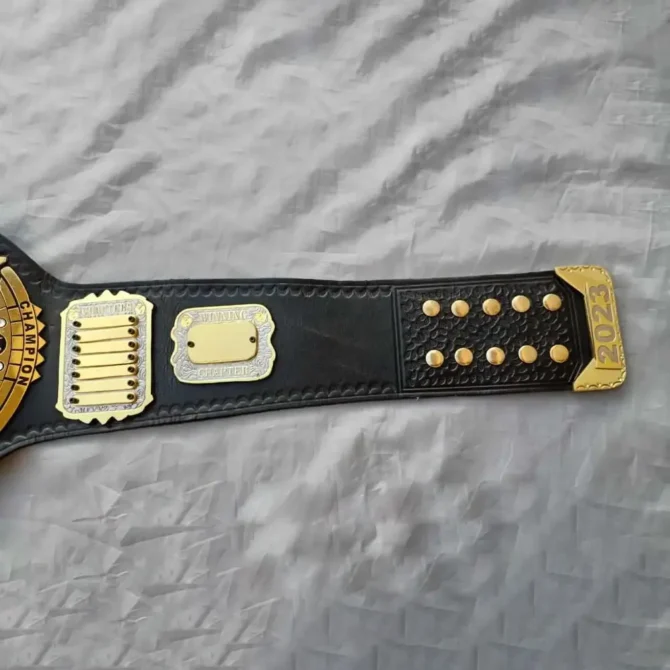 Tag Team 24k Gold Championship Title Belts