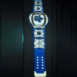 Toronto Maple leafs championship belt