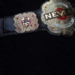 Never Openweight Championship Title Belt