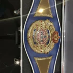 WBO Boxing CNC Made 24k Gold Championship Title Belt