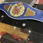 WBO Boxing CNC Made 24k Gold Championship Title Belt