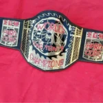 ECW WORLD TAG TEAM Brass 24k Gold Championship Belt