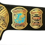 Heavyweight World ECW Championship Belt