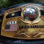 NWA DOMED GLOBE HEAVYWEIGHT 3D CNC MADE CHAMPIONSHIP BELT