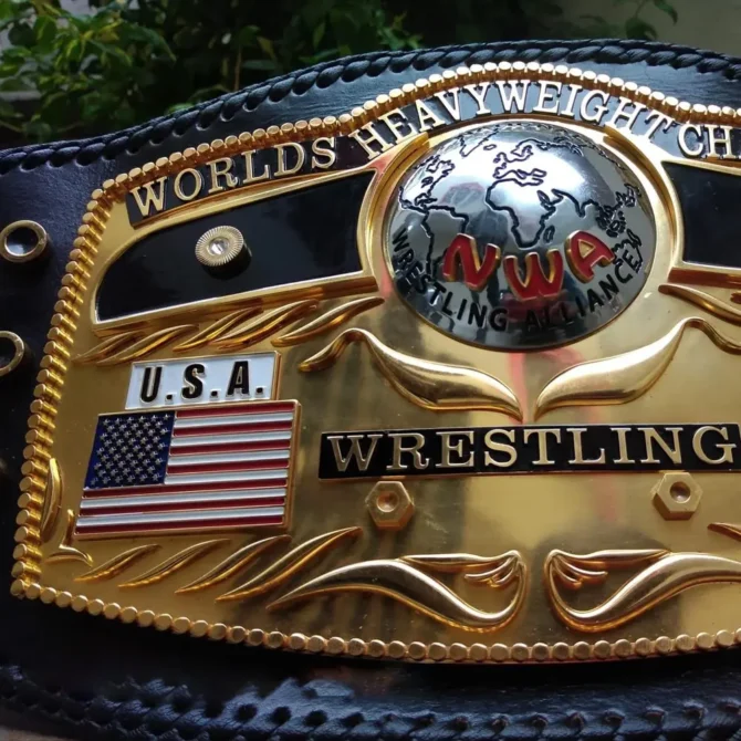 NWA DOMED GLOBE HEAVYWEIGHT 3D CNC MADE CHAMPIONSHIP BELT