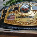 NWA DOMED GLOBE HEAVYWEIGHT 3D CNC MADE CHAMPIONSHIP BELT