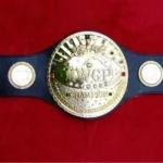 OLD IWGP Zinc 24k Gold Championship Belt