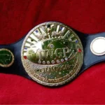 OLD IWGP Zinc 24k Gold Championship Belt