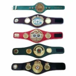 Set of 5 Mini Boxing Championship Title Belts