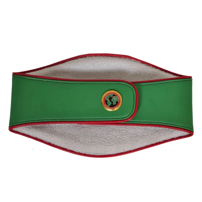 UBO Title Boxing Championship Belt