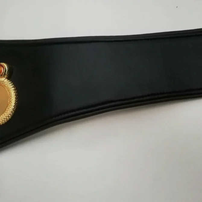 WBA Boxing Championship Blue Brass Title Belt