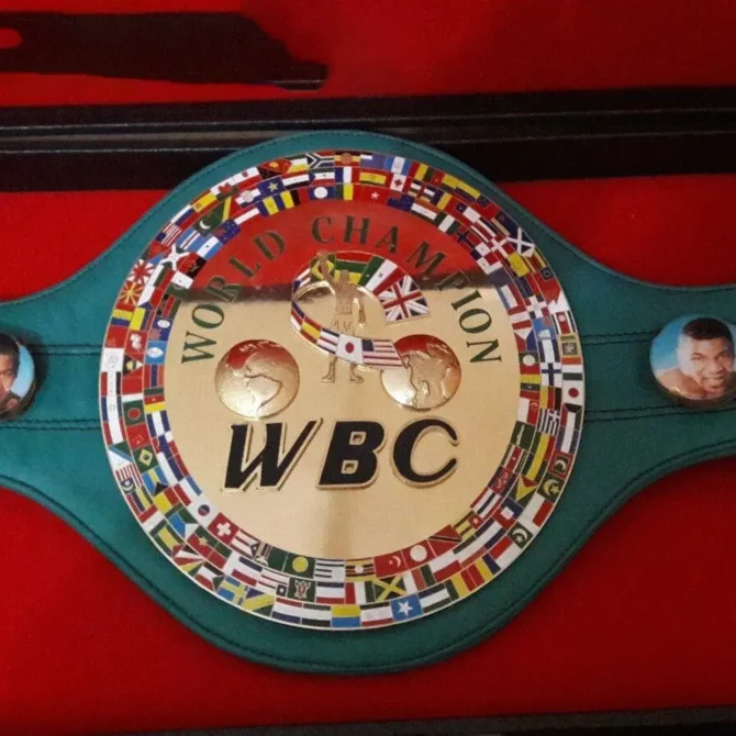 WBC Belt 3D Boxing Authentic Title Belt