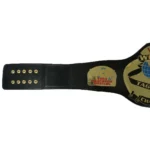 WCW WORLD TAG TEAM Brass 24k Gold Championship Belt