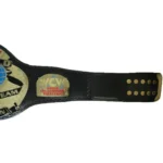 WCW WORLD TAG TEAM Brass 24k Gold Championship Belt