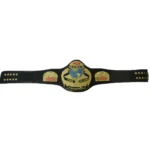 WCW WORLD TAG TEAM Brass 24k Gold Championship Belt