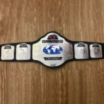 WCW WORLD TELEVISION Authentic Brass Championship Belt