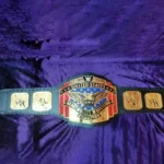 WWE UNITED STATES HEAVYWEIGHT Zinc 24k Gold Championship Belt