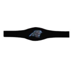 Carolina Panthers WWE Legacy Title Belt