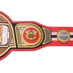 Chicago Blackhawks WWE Legacy Title Belt