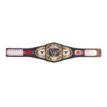 Houston Texans WWE Legacy Title Belt