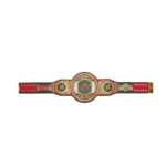 Minnesota Wild WWE Legacy Title Belt