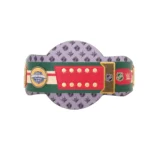 Minnesota Wild WWE Legacy Title Belt